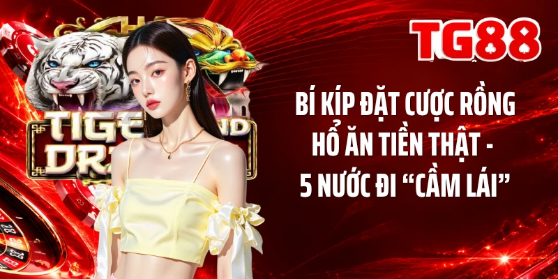 Bí Kíp Đặt Cược Rồng Hổ Ăn Tiền Thật - 5 Nước Đi “Cầm Lái”