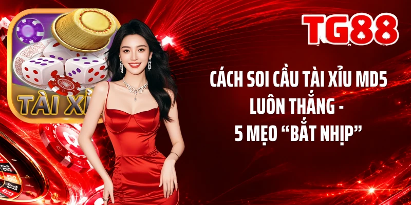 Cách Soi Cầu Tài Xỉu MD5 Luôn Thắng - 5 Mẹo “Bắt Nhịp”