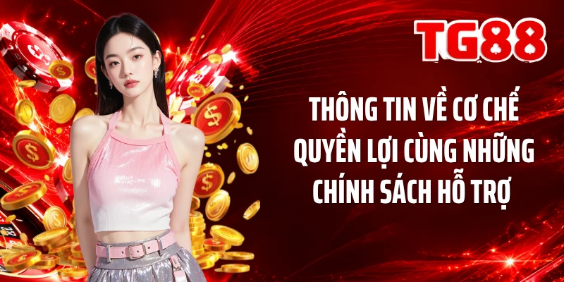 Thông tin về cơ chế quyền lợi cùng những chính sách hỗ trợ 